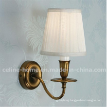 Classical Iron Lamp with Unique Design (C003-1W)
